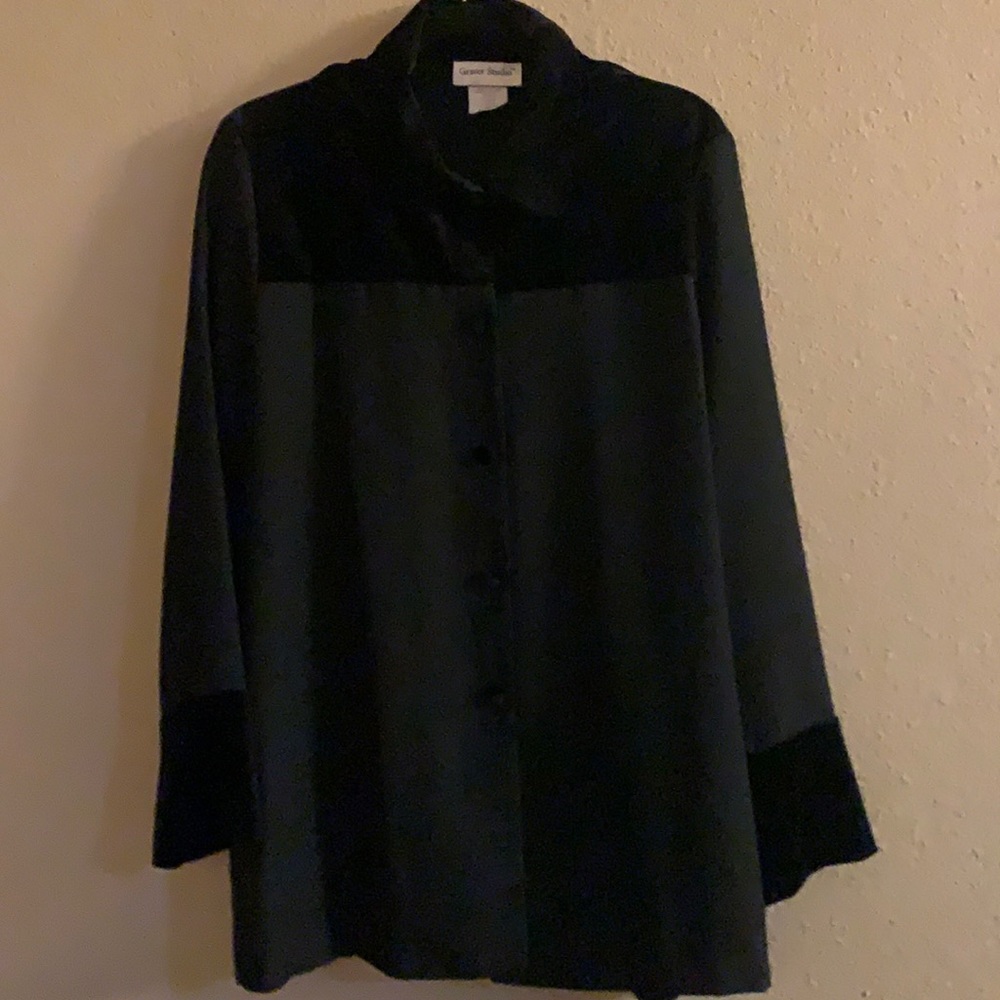 ✅ BEAUTIFUL SHEER BLOUSE WITH VELVET ON BOTTOM OF SLEEVES AND CHEST